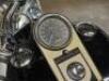 2001 Harley-Davidson Screaming Eagle II - 99