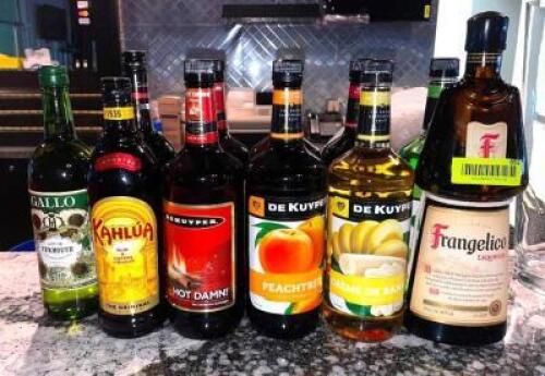 DESCRIPTION: ASSORTED BOTTLES OF LIQUOR AS SHOWN LOCATION: MAIN BAR QTY: 1