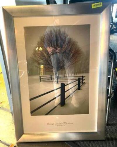 DESCRIPTION: 28" X 40" "SOLITUDE" FRAMED WALL DECOR BRAND/MODEL: DAVID LORENZE WINSTON LOCATION: DINING AREA QTY: 1