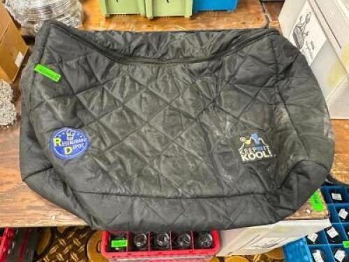DESCRIPTION LARGE INSULATED DELIVERY BAG LOCATION BANQUET ROOM TABLE 1 QTY 1