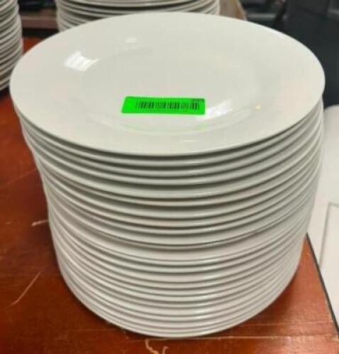 DESCRIPTION: (24) 10.5" CHINA PLATES LOCATION: BANQUET HALL QTY: 24