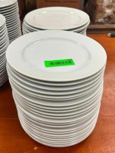 DESCRIPTION: (48) 9" CHINA PLATES LOCATION: BANQUET HALL QTY: 48