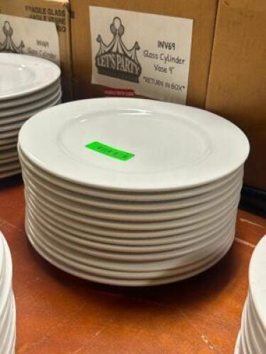 DESCRIPTION: (12) - DINNER PLATES THIS LOT IS: SOLD BY THE PIECE QTY: 12