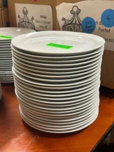 DESCRIPTION: (24) - APPETIZER PLATES THIS LOT IS: SOLD BY THE PIECE QTY: 24