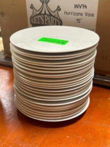 DESCRIPTION: (24) - APPETIZER PLATES THIS LOT IS: SOLD BY THE PIECE QTY: 24