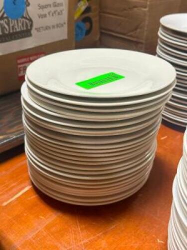 DESCRIPTION: (24) - APPETIZER PLATES THIS LOT IS: SOLD BY THE PIECE QTY: 24