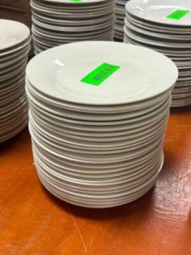 DESCRIPTION: (24) - APPETIZER PLATES THIS LOT IS: SOLD BY THE PIECE QTY: 24