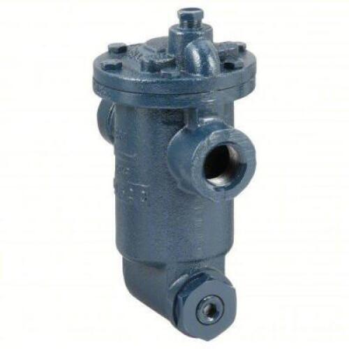 DESCRIPTION: (1) STEAM TRAP BRAND/MODEL: ARMSTRONG INTERNATIONAL #36Y228 INFORMATION: CAST IRON, 3/4 IN FNPT, 750 LB/HR, 250 PSI MAX., 450&deg;F MAX., STR