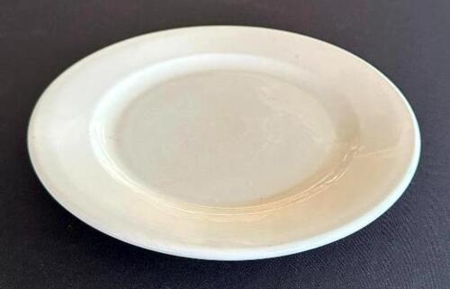 DESCRIPTION: (14) 9.5" CHINA PLATES LOCATION: 6TH FLOOR QTY: 14