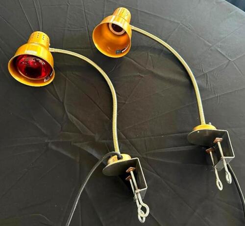 DESCRIPTION: (2) TABLE MOUNT INFRARED HEAT LAMPS BRAND/MODEL: CARLISLE NHL8185GB21 LOCATION: 6TH FLOOR QTY: 2
