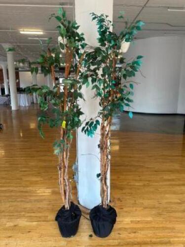 DESCRIPTION (4) FAKE FICHUS TREES W/ STRAND LIGHTING THIS LOT IS: SOLD BY THE PIECE LOCATION FLOOR 7 QTY 4
