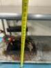 DESCRIPTION: 5' STAINLESS STEEL TABLE WITH UNDERSHELF SIZE: 60"X30"X33" LOCATION: KITCHEN QTY: 1 - 4